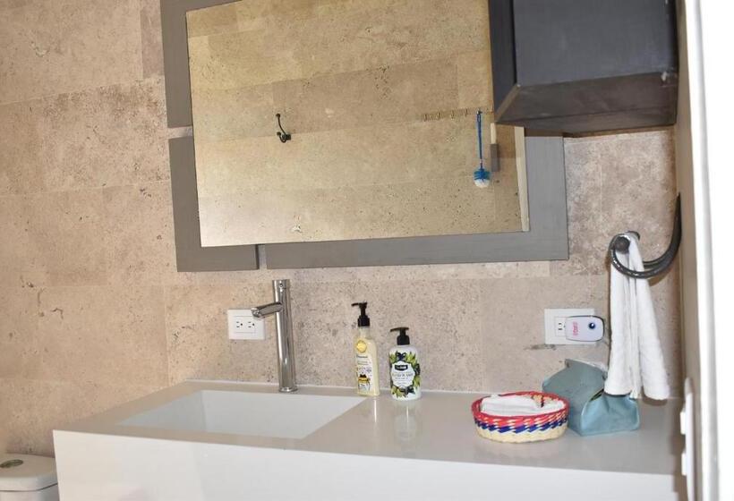 豪华房间, Itzae Antigua San Miguel De Allende Dog Friendly