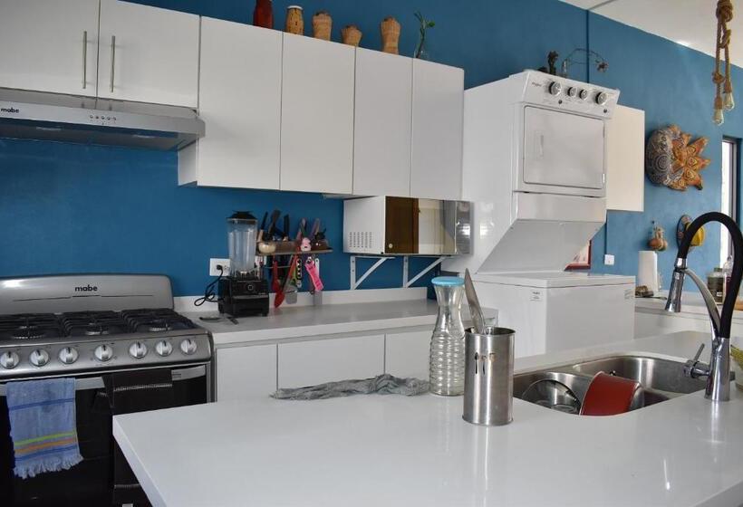 4间卧室的房子, Itzae Antigua San Miguel De Allende Dog Friendly