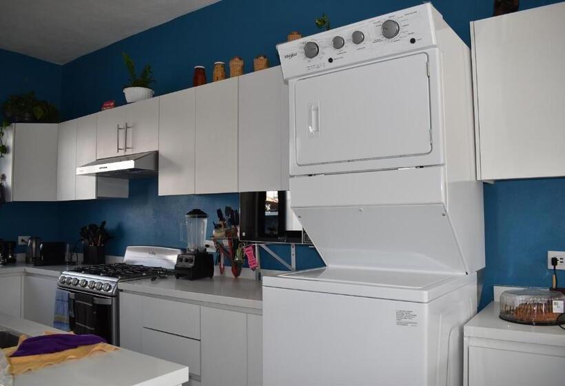 4间卧室的房子, Itzae Antigua San Miguel De Allende Dog Friendly