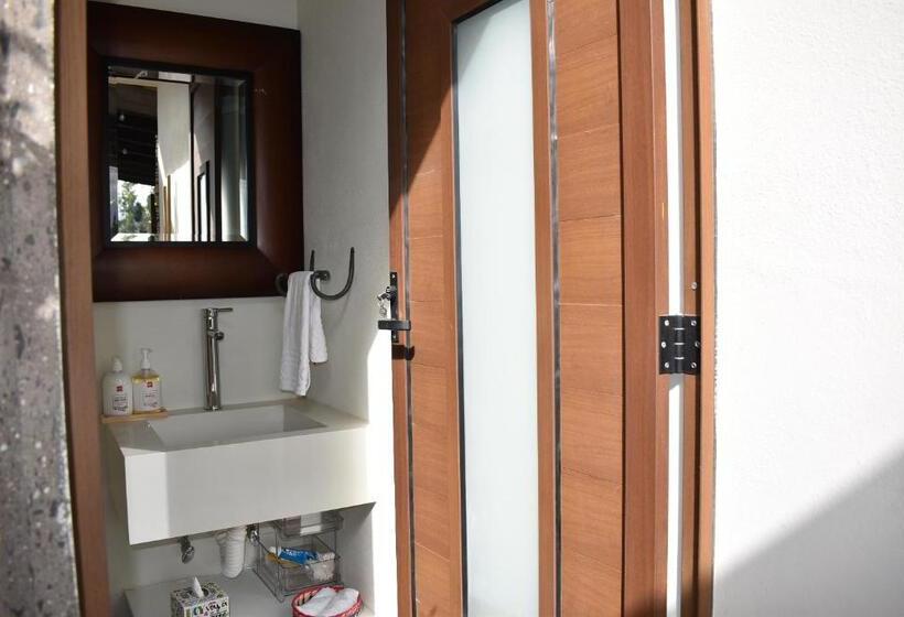 4间卧室的房子, Itzae Antigua San Miguel De Allende Dog Friendly