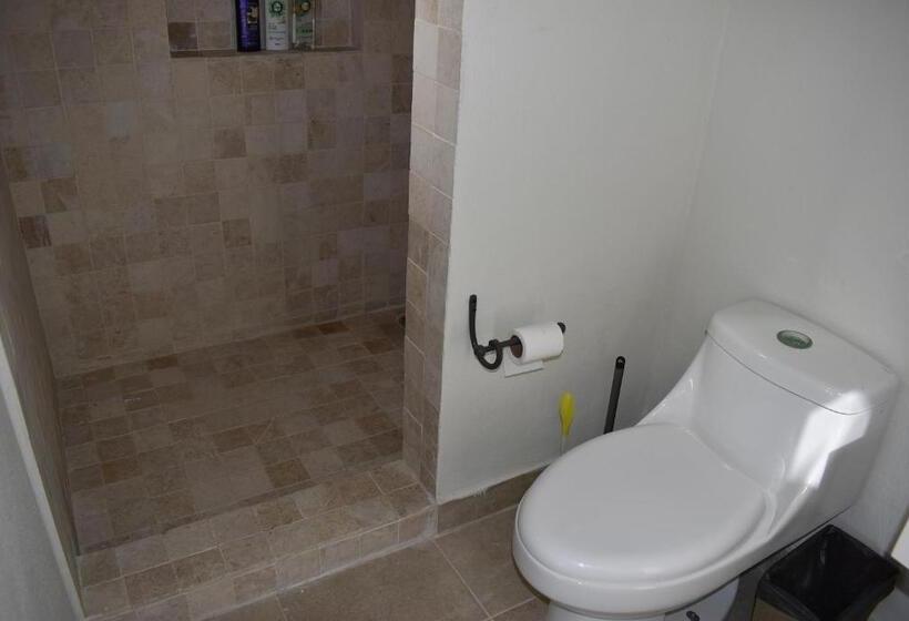 4间卧室的房子, Itzae Antigua San Miguel De Allende Dog Friendly