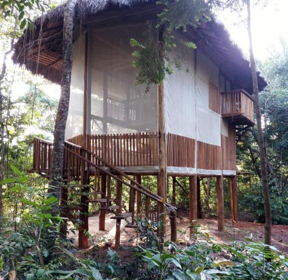 Бунгало Стандарт, Ecoaraguaia Jungle Lodge