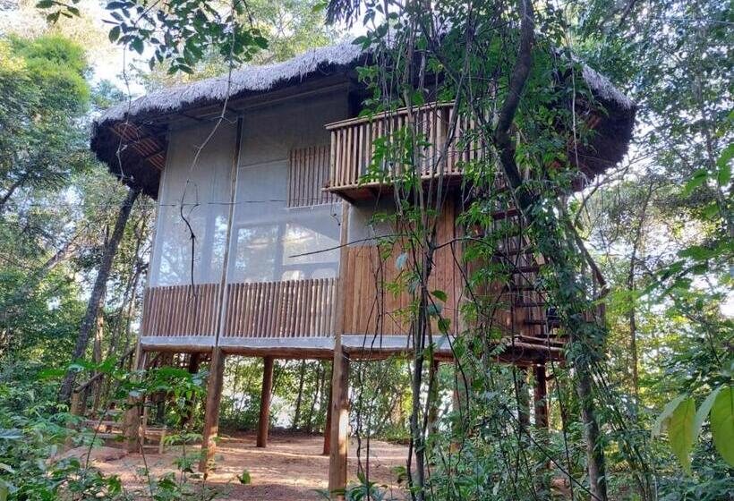 Бунгало Стандарт, Ecoaraguaia Jungle Lodge