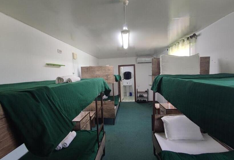 سرير فى غرفة مشتركه, G/h