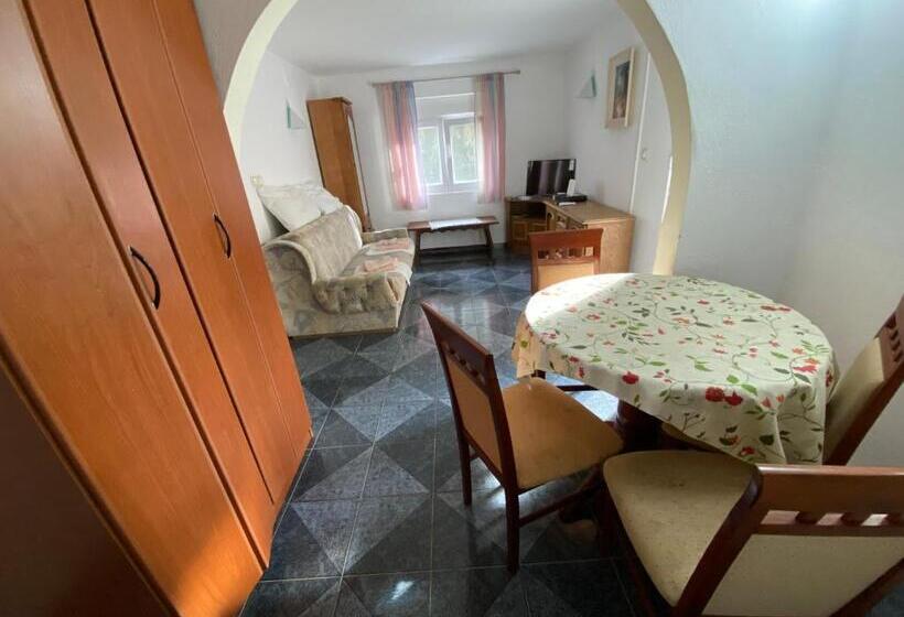 آپارتمان 1 خوابه با چشمانداز باغ, Stone Villa