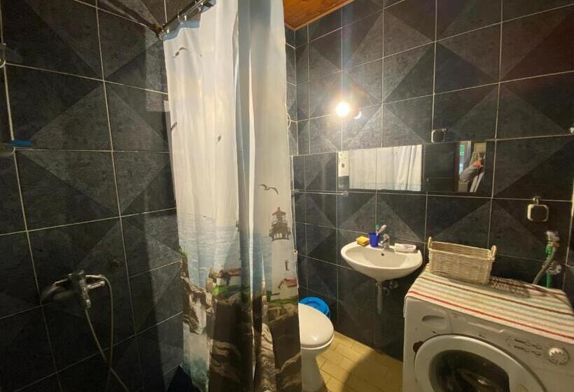 آپارتمان 1 خوابه با چشمانداز باغ, Stone Villa