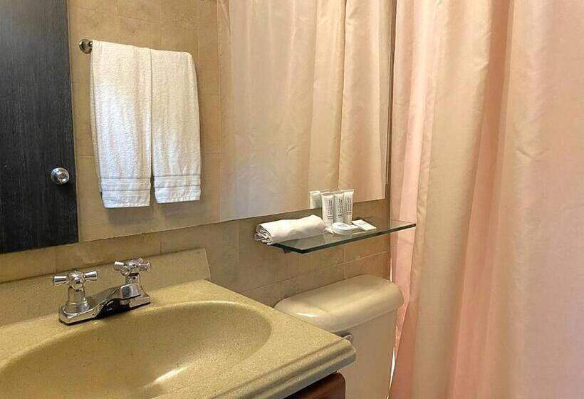 غرفة قياسية, Hospedium Hotel Bogotá Urban Javeriana