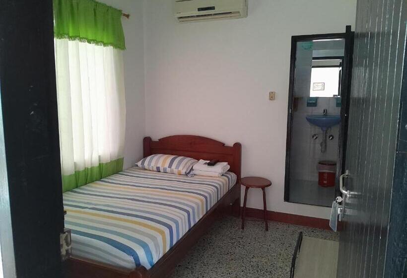 스탠다드 룸, Bruselas Mutata