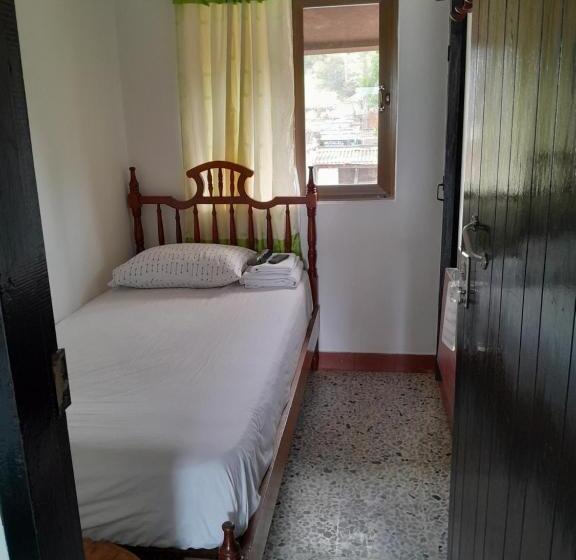 스탠다드 싱글 룸, Bruselas Mutata