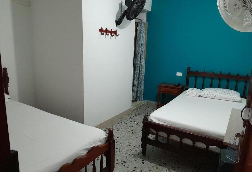 스탠다드 룸, Bruselas Mutata