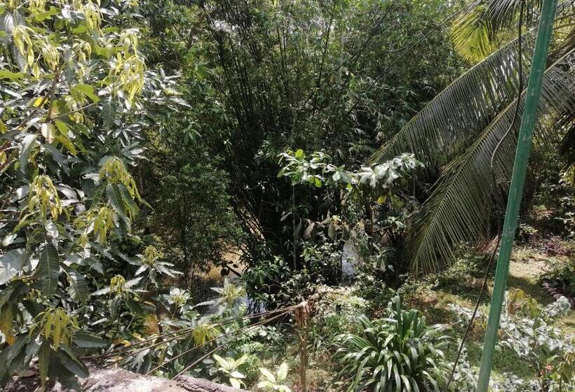 اتاق لوکس, Geeth Lanka River Resort
