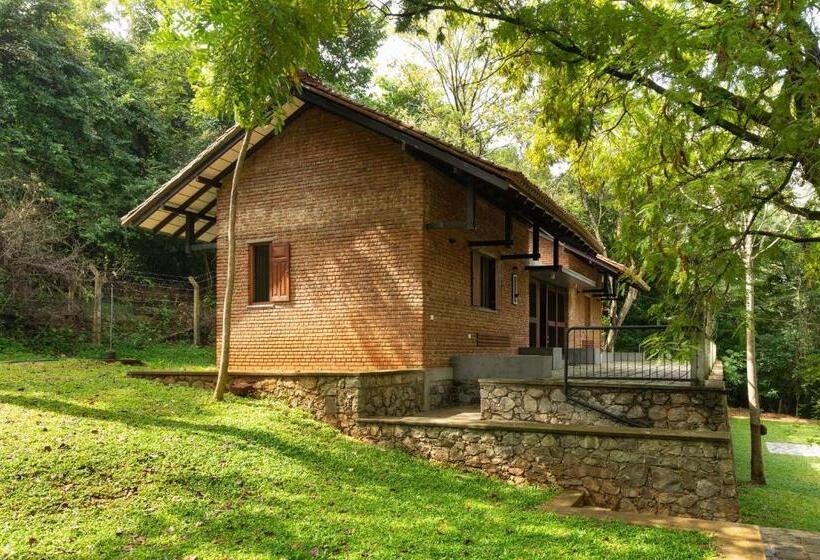 בקתת חדר, Villa Mankani