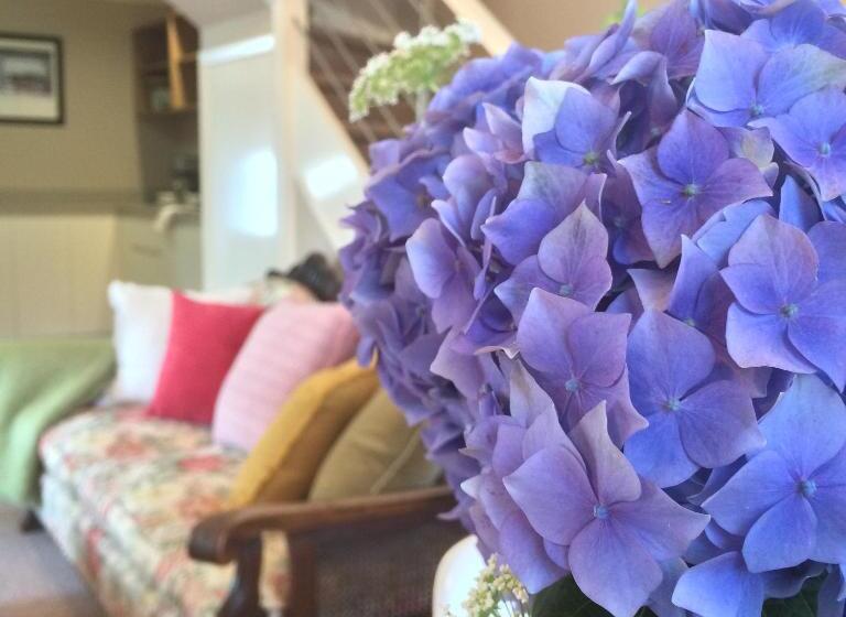 Номер Deluxe, Bundanoon Bijou Southern Highlands Accommodation