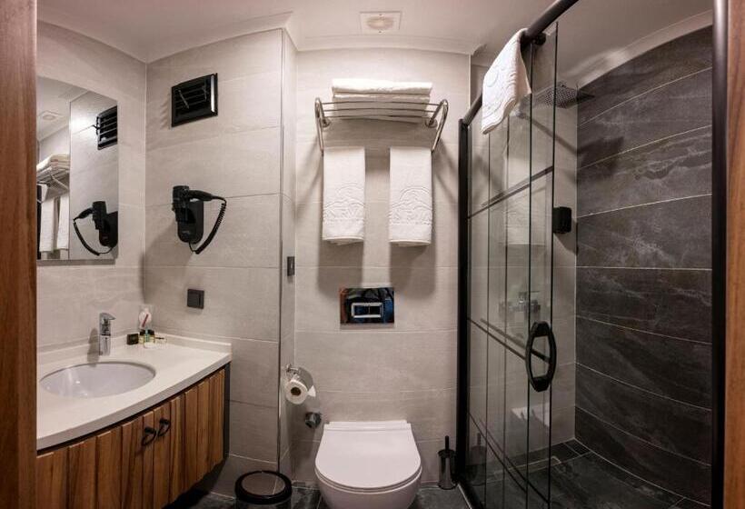 اتاق استاندارد, The Nirvanas