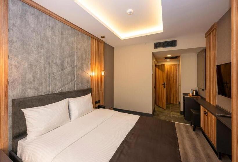 اتاق استاندارد, The Nirvanas