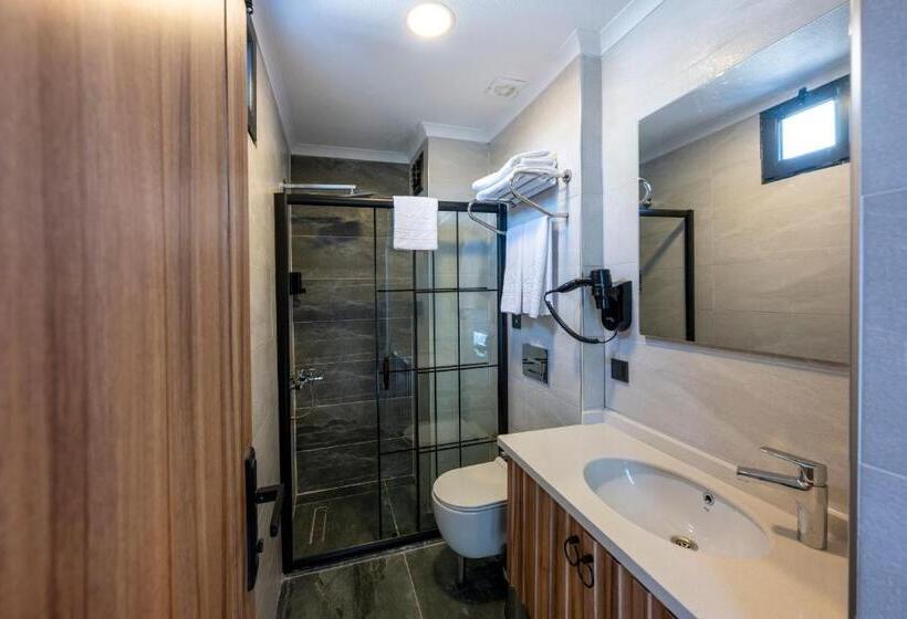 اتاق استاندارد با بالکن, The Nirvanas