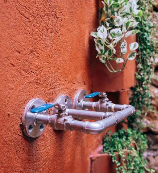 غرفة قياسية, Las Dunas Beach Guest House