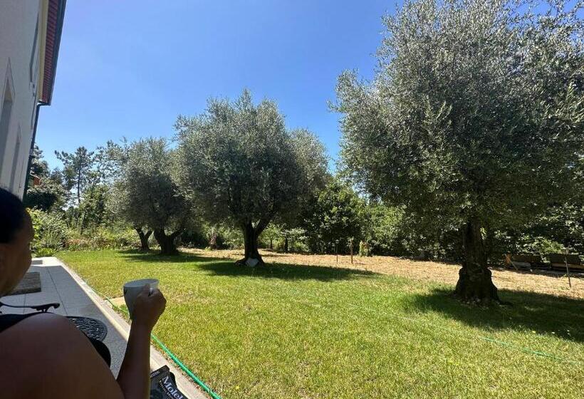 חדר דלוקס עם נוף להרים, Quinta Catrinandes   Retreat Center