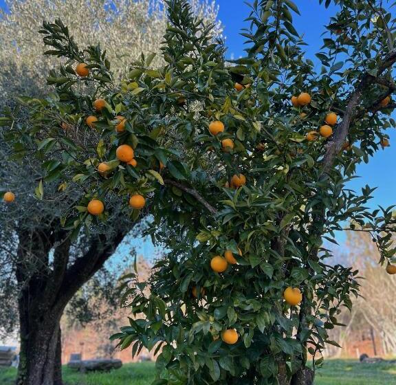 חדר סטנדרט נוף לגינה, Quinta Catrinandes   Retreat Center