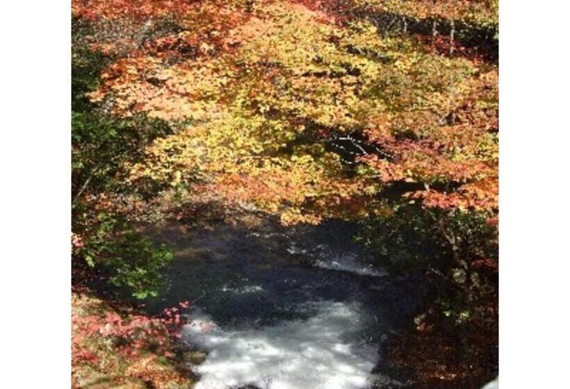 Студия Стандарт, Oshuku Onsen Hotel Uguisu   Vacation Stay 27299v