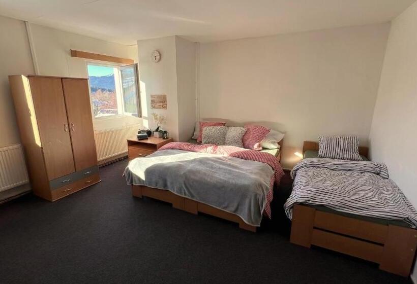 Апартаменты 1 Спальня, Apartmány Chata Samoty