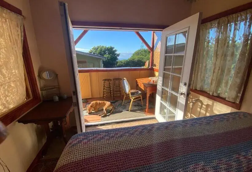 オーシャンビューデラックスルーム, Artsy Cabin On Organic Farm