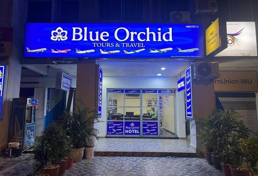 标准间, Blue Orchid