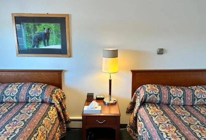 اتاق استاندارد چهار تخته, White River Motel