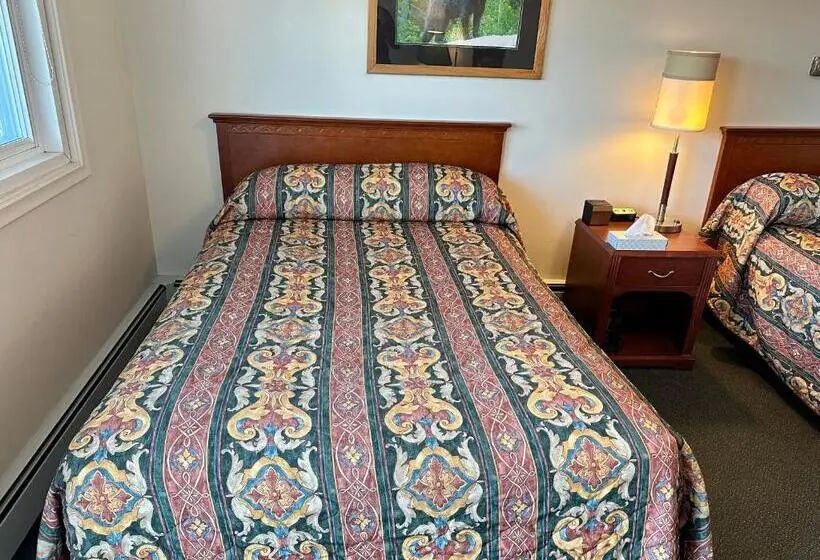 اتاق استاندارد چهار تخته, White River Motel