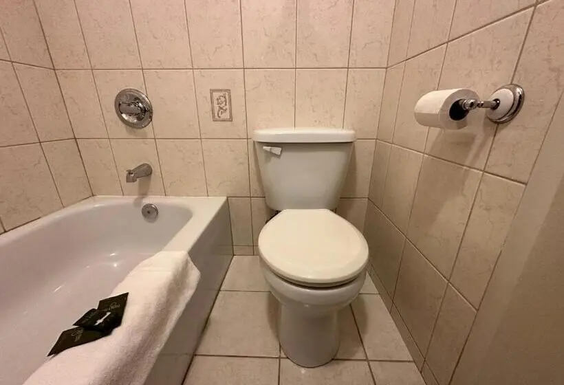 اتاق استاندارد چهار تخته, White River Motel