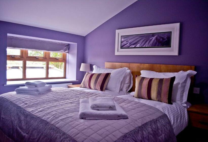 Quarto Estandar, The Ugly Duckling