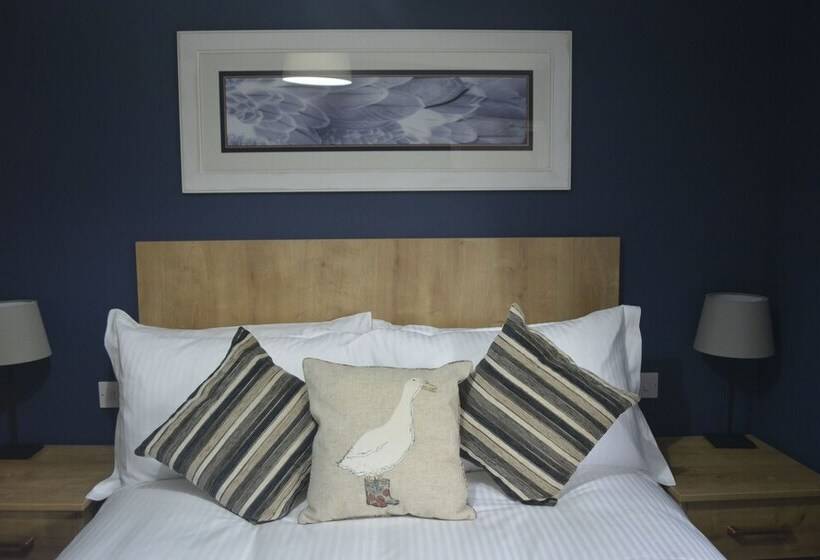 Quarto Estandar, The Ugly Duckling