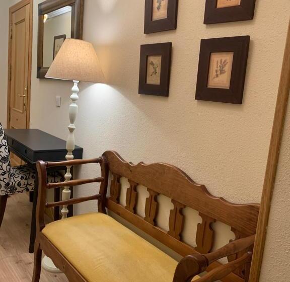 اتاق استاندارد, Dc Mesones 21