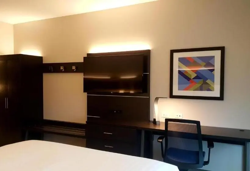 身障者適用キングサイズベッドルーム, Holiday Inn Express   North Augusta South Carolina, An Ihg