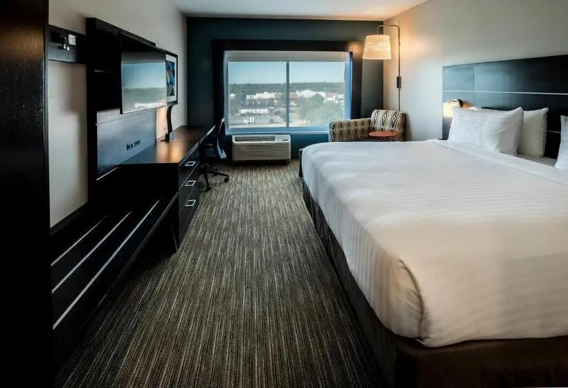 身障者適用キングサイズベッドルーム, Holiday Inn Express   North Augusta South Carolina, An Ihg