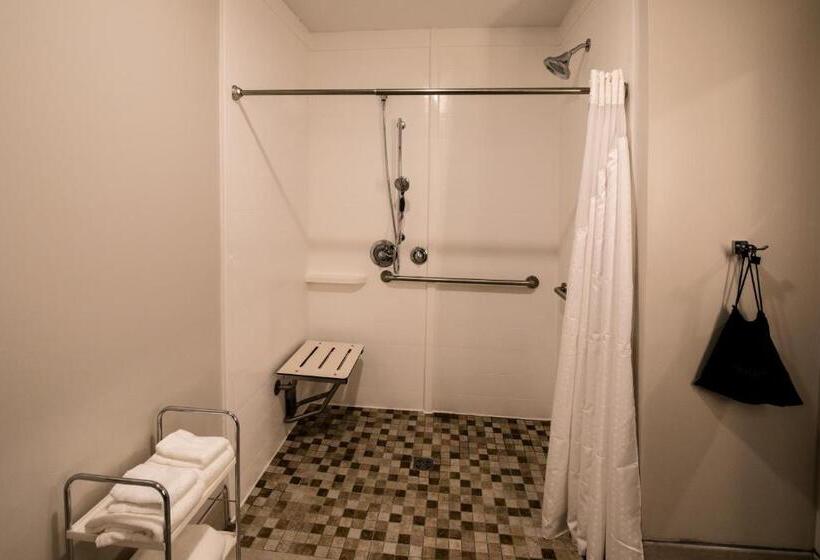 Номер Стандарт Кровать Кинг Адаптированный для Инвалидов, Holiday Inn Express   North Augusta South Carolina, An Ihg