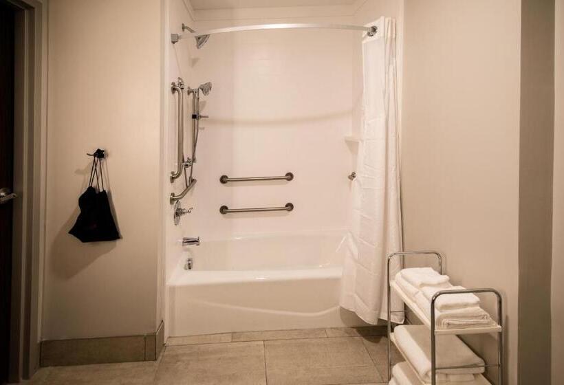 Номер Стандарт Кровать Кинг Адаптированный для Инвалидов, Holiday Inn Express North Augusta South Carolina, An Ihg