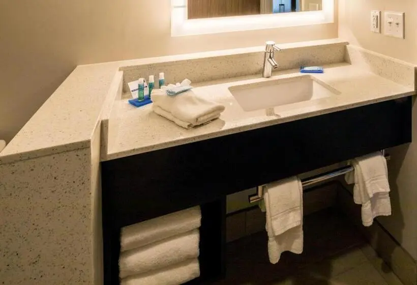 身障者適用スイートルーム, Holiday Inn Express   North Augusta South Carolina, An Ihg
