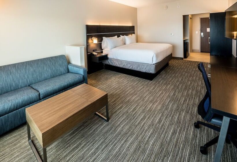 套房, Holiday Inn Express   North Augusta South Carolina, An Ihg