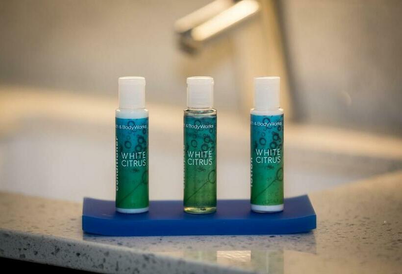 Номер Стандарт, Holiday Inn Express North Augusta South Carolina, An Ihg