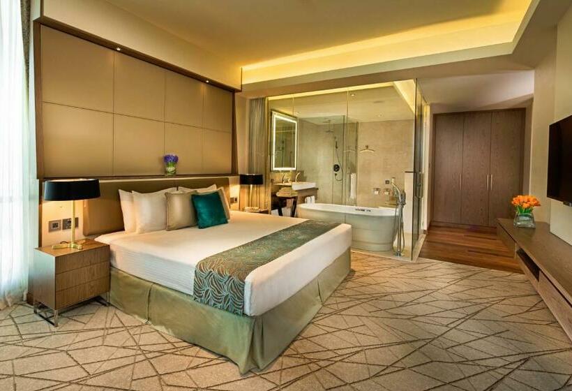 سوییت اجرایی, Millennium Plaza Doha