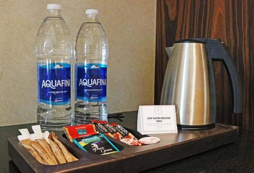 اتاق استاندارد با تخت بزرگ برای معلولان, Millennium Plaza Doha