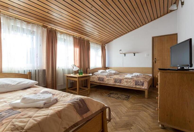 Номер Стандарт Трехместный, Pensjonat Adria