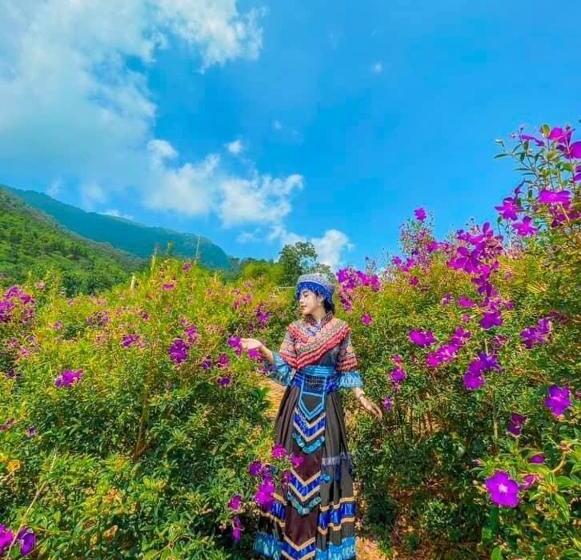 اتاق استاندارد, Pu Luong Cuisine Garden Homestay