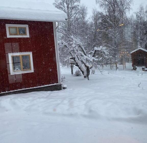 Tek Kişilik Basic Oda, Annexet Orrabackens