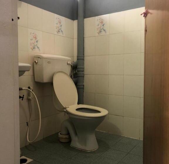 Номер Стандарт, Family