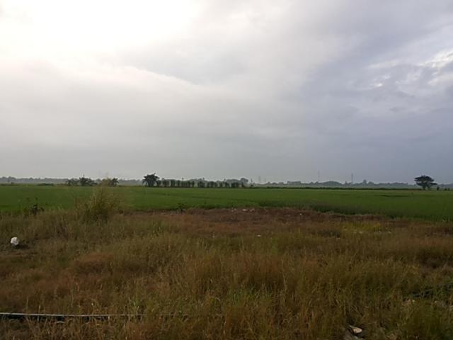 غرفة قياسية ثلاثية, Chalet Purnama