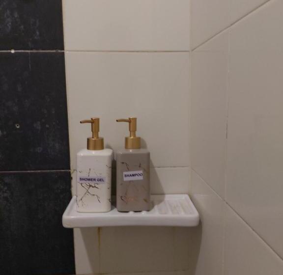 إستوديو قياسى, The Viana Apartment 1