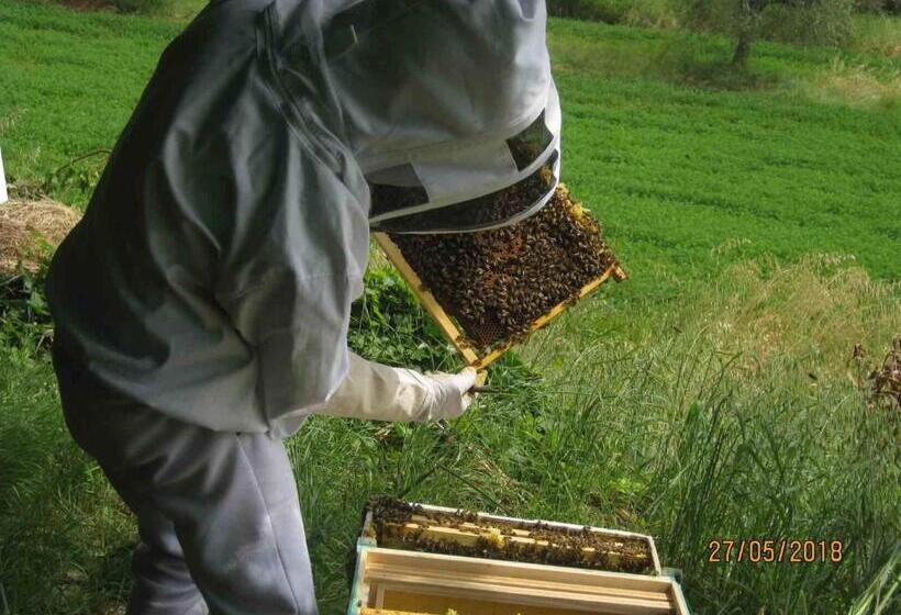 Семейный Номер Deluxe, Agriturismo Campo Aperto