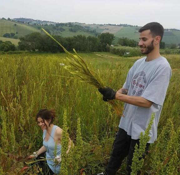 Трехместный Номер Комфорт, Agriturismo Campo Aperto